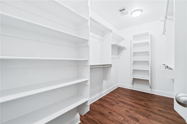 walk in closet with visible vents and dark wood-type flooring