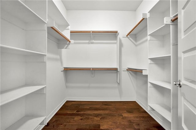 walk in closet with wood finished floors