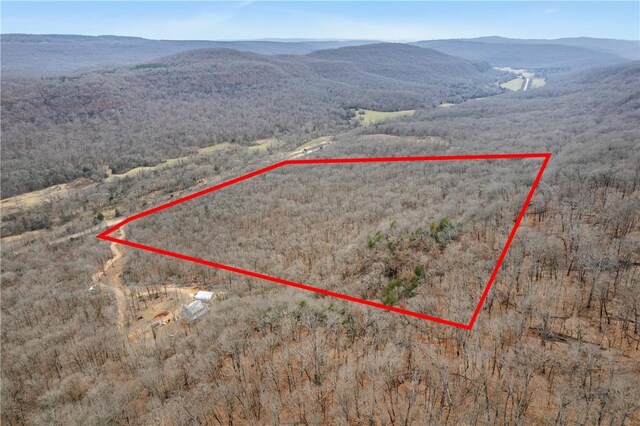 TBD Highway 59, Natural Dam, AR 72948 - photo 5