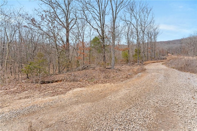 TBD Highway 59, Natural Dam, AR 72948 - photo 10