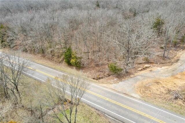 TBD Highway 59, Natural Dam, AR 72948 - photo 12