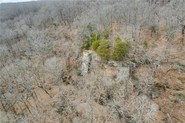 TBD Highway 59, Natural Dam, AR 72948 - photo 13