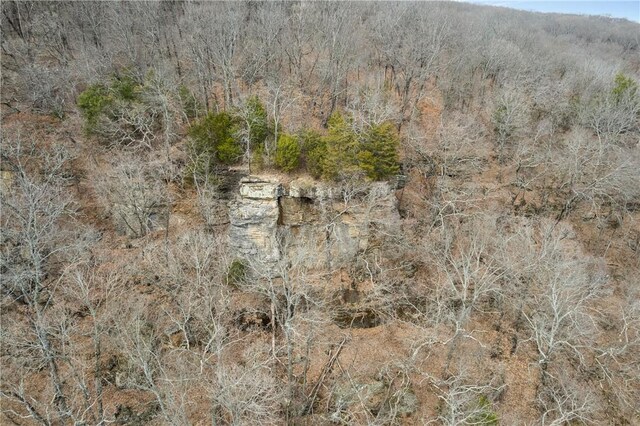 TBD Highway 59, Natural Dam, AR 72948 - photo 14