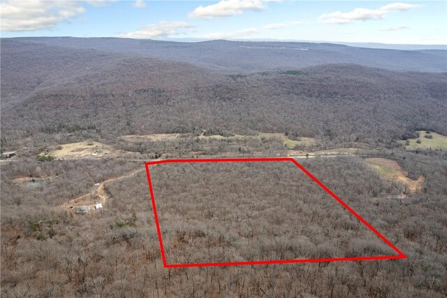 TBD Highway 59, Natural Dam, AR 72948 - photo 15