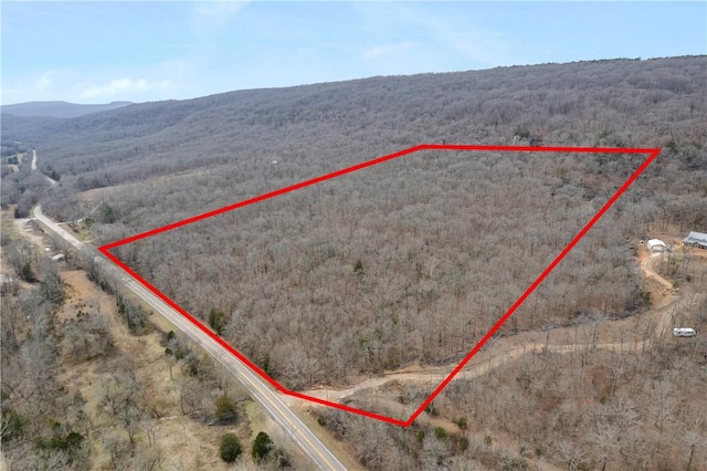 TBD Highway 59, Natural Dam, AR 72948 - photo 16