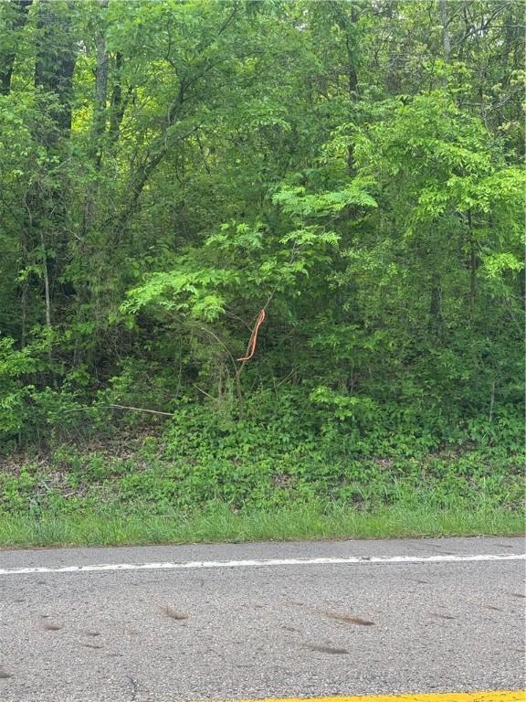 TBD Highway 59, Natural Dam, AR 72948 - photo 18