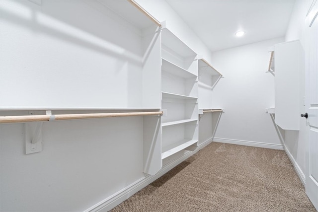 spacious closet featuring carpet floors