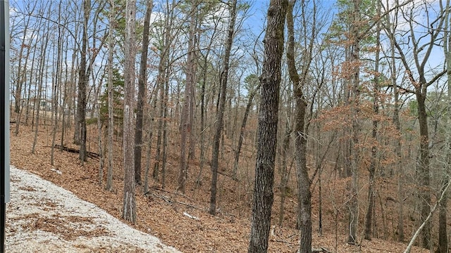 view of local wilderness