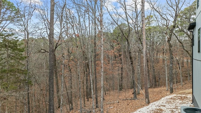 view of local wilderness featuring a wooded view