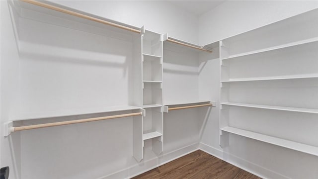 walk in closet featuring dark wood-type flooring