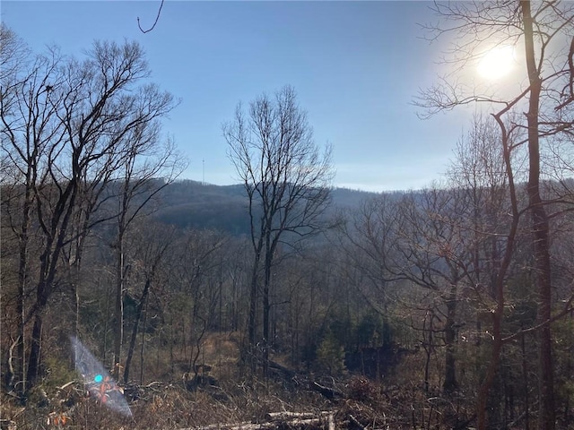 15856 Delgado Rd, West Fork, AR 72774