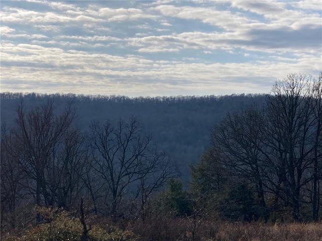 15856 Delgado Rd, West Fork, AR 72774