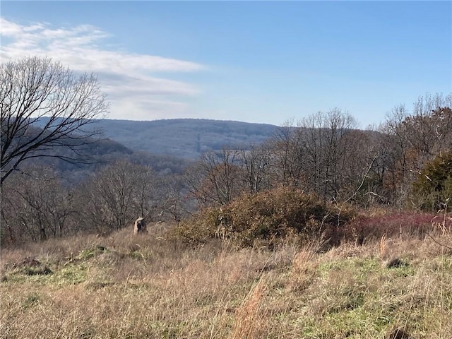 15856 Delgado Rd, West Fork, AR 72774