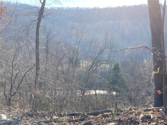 15856 Delgado Rd, West Fork, AR 72774