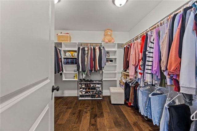 spacious closet featuring wood finished floors