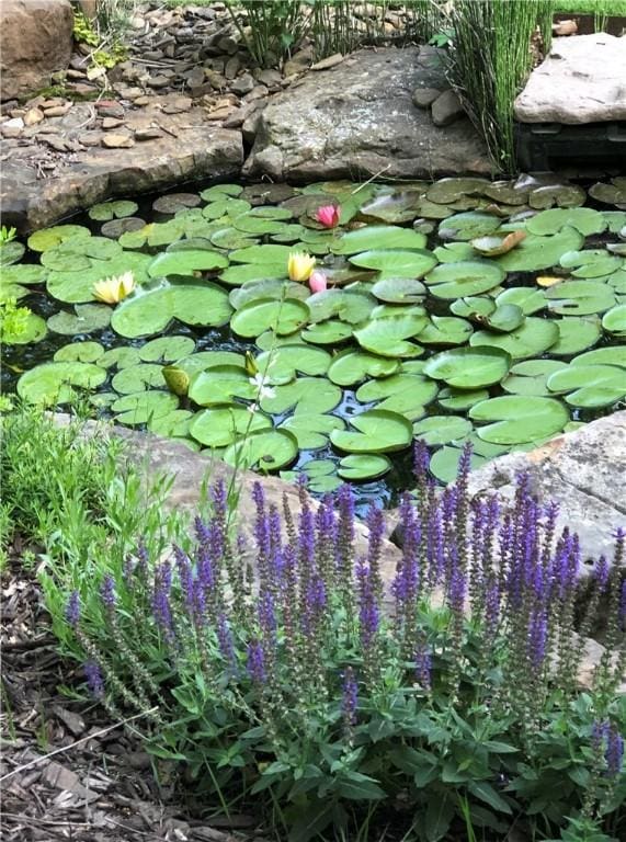 exterior details featuring a garden pond