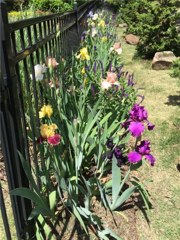 details featuring fence