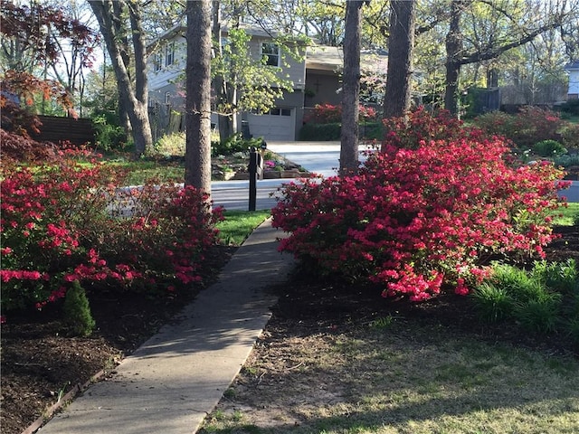 view of community featuring an attached garage