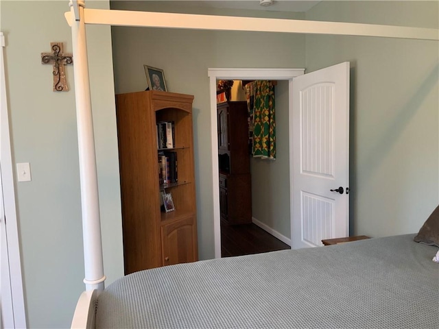 bedroom featuring a closet and a spacious closet