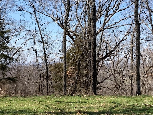 view of local wilderness with a forest view