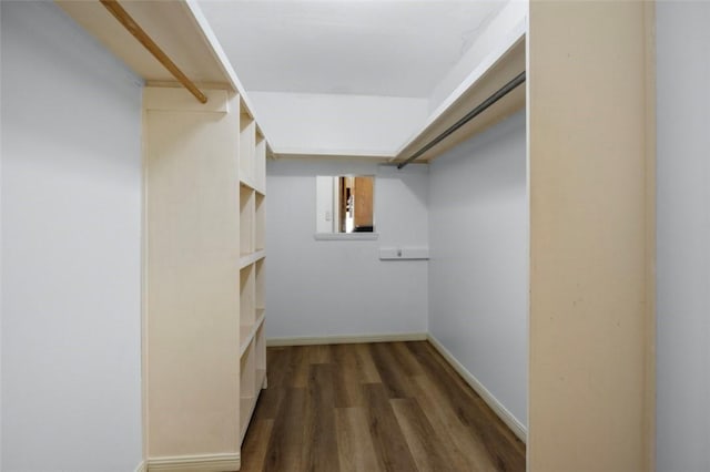 spacious closet featuring wood finished floors