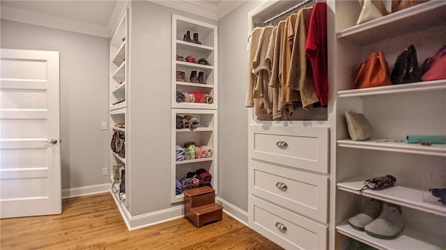 walk in closet with light wood finished floors