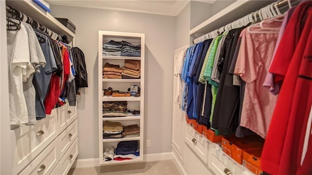 view of walk in closet