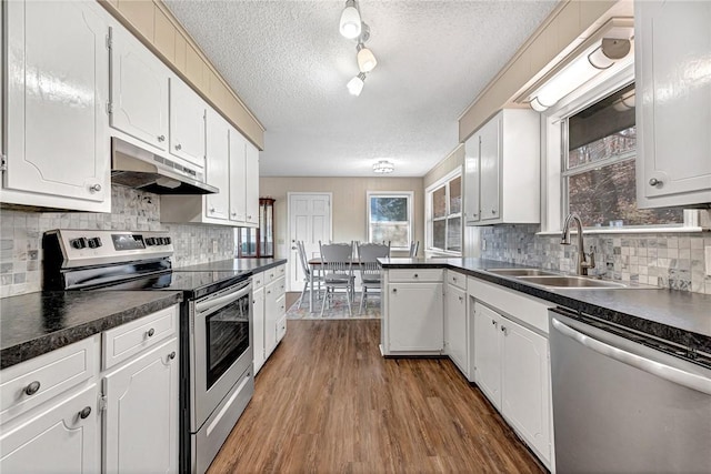 kitchen featuring under cabinet range hood, stainless steel appliances, dark countertops, and a sink