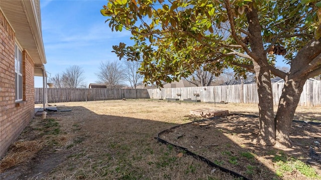 view of yard featuring a fenced backyard