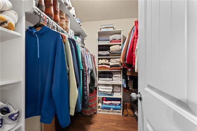 spacious closet with wood finished floors