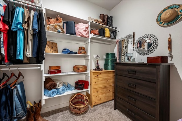 spacious closet featuring carpet floors