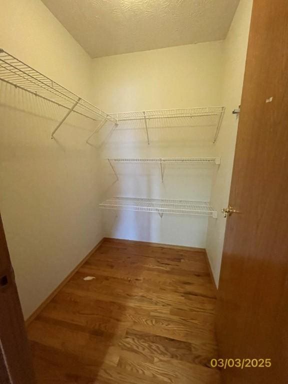 spacious closet featuring wood finished floors