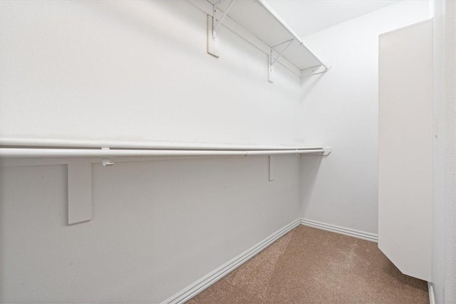 spacious closet with carpet flooring