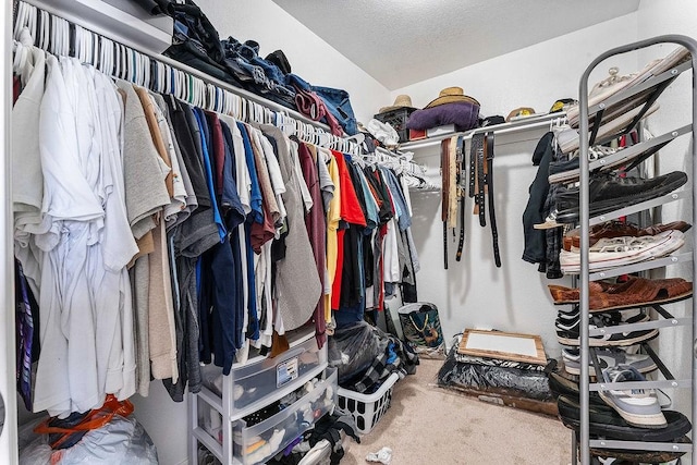 spacious closet featuring carpet floors