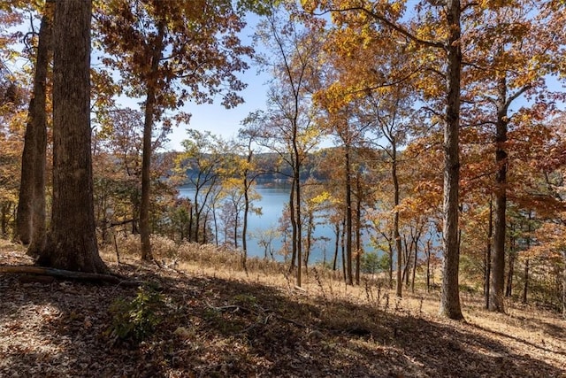 14431 Horseshoe Ln, Rogers, AR 72756 - photo 17