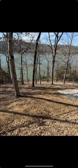 14431 Horseshoe Ln, Rogers, AR 72756 - photo 16