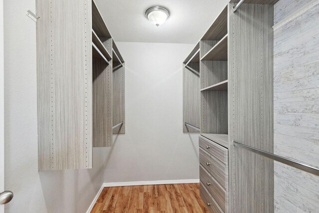 spacious closet featuring wood finished floors