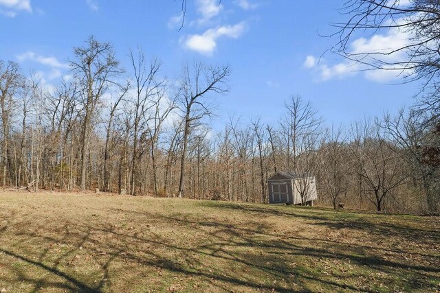 view of yard featuring a storage shed, an outbuilding, and a wooded view