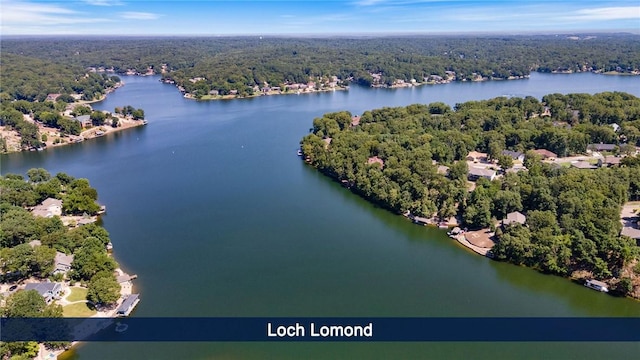 birds eye view of property featuring a forest view and a water view