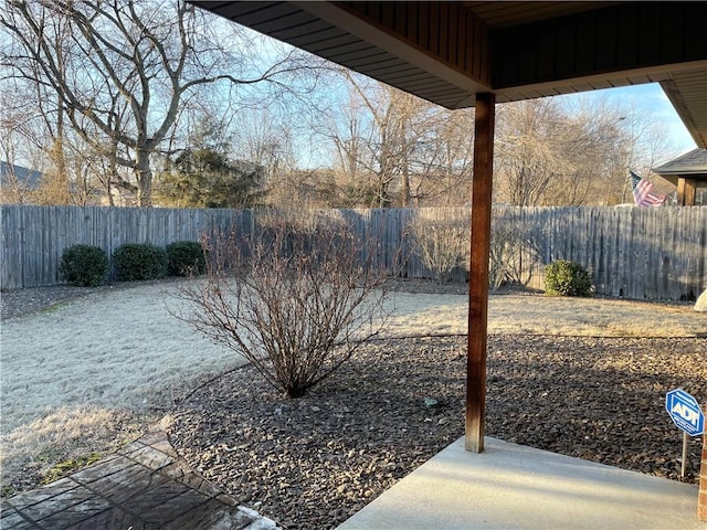 view of yard featuring a patio area and a fenced backyard