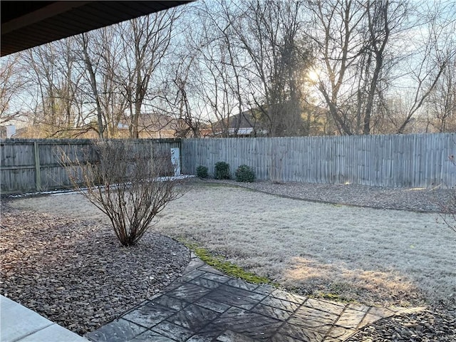 view of yard with a fenced backyard