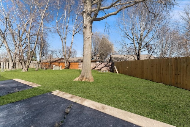 view of yard with a fenced backyard and a patio