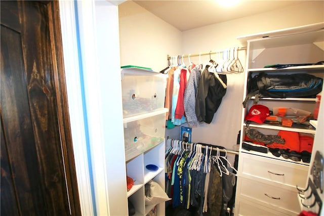 view of spacious closet