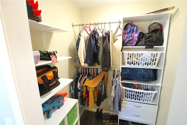 spacious closet with wood finished floors