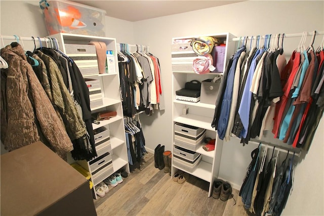 walk in closet with wood finished floors