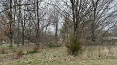 Listing photo 2 for TBD E Butler St, Prairie Grove AR 72753