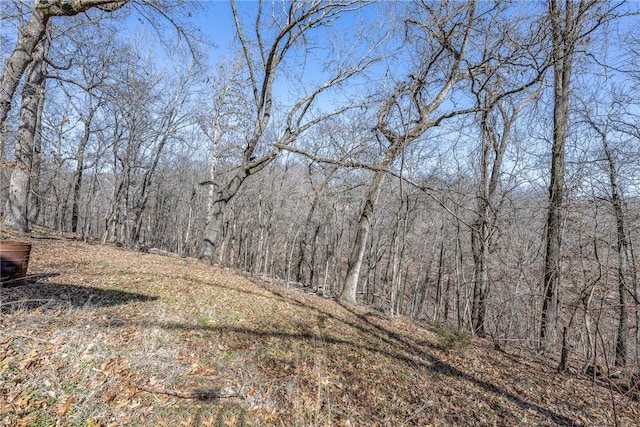 view of local wilderness featuring a wooded view