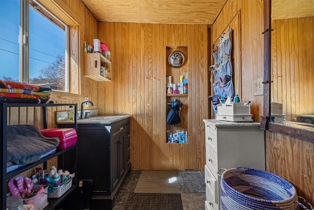 washroom featuring wood walls and a sink