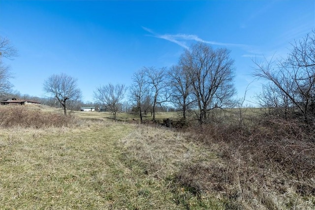 view of yard with a rural view