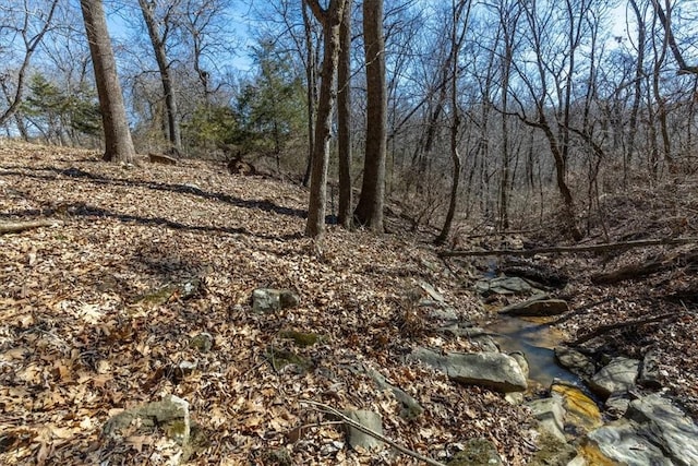 view of local wilderness with a wooded view